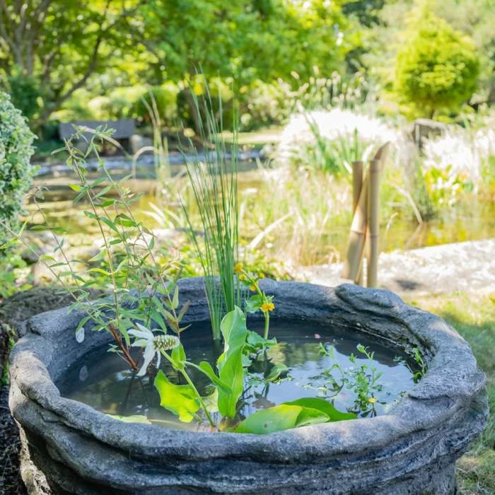 H35cm Natural Rock Wildlife-Friendly Pond-In-A-Pot Kit - Image 3