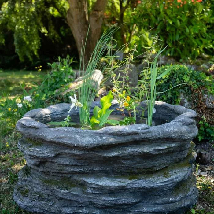 H35cm Natural Rock Wildlife-Friendly Pond-In-A-Pot Kit - Image 4