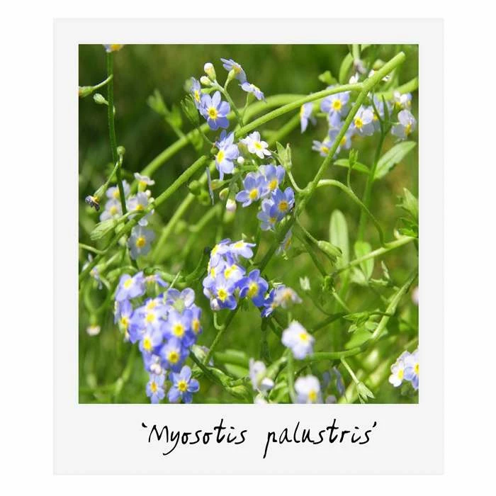 H35cm Natural Rock Wildlife-Friendly Pond-In-A-Pot Kit - Image 8