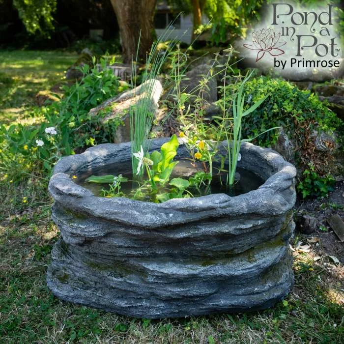 H35cm Natural Rock Wildlife-Friendly Pond-In-A-Pot Kit
