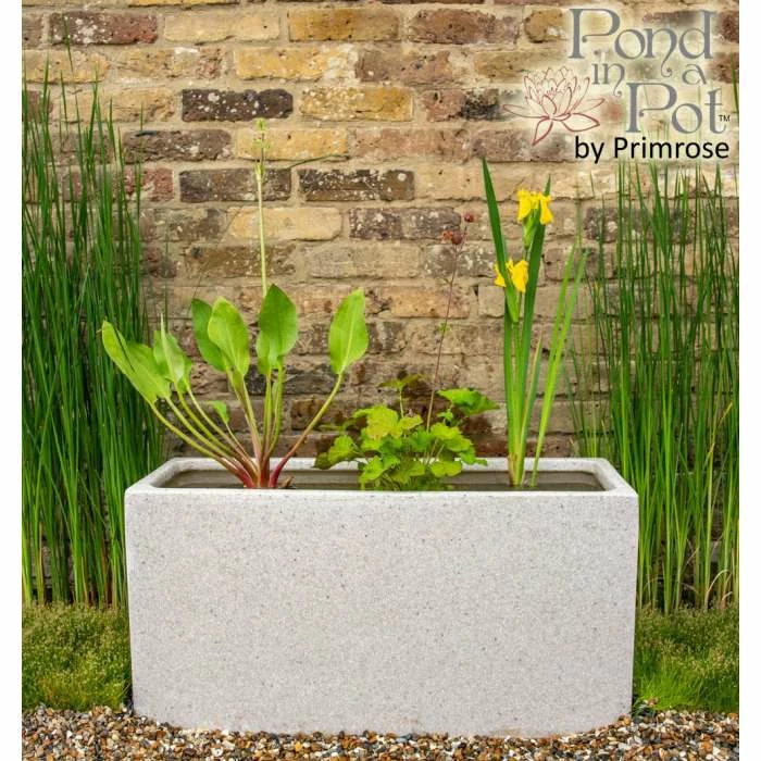 W80cm 'Pond in a Pot' Trough White Fibreglass Planter