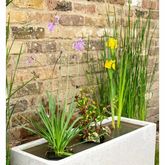 W80cm Ornamental 'Pond in a Pot' Trough White Fibreglass Planter - Image 3