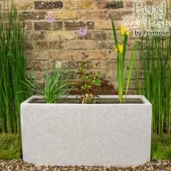 W80cm Ornamental 'Pond in a Pot' Trough White Fibreglass Planter