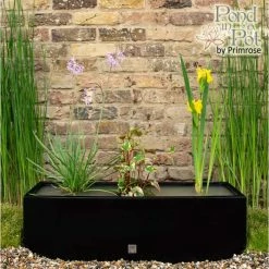 W80cm Ornamental 'Pond in a Pot' Trough Black Fibreglass Planter