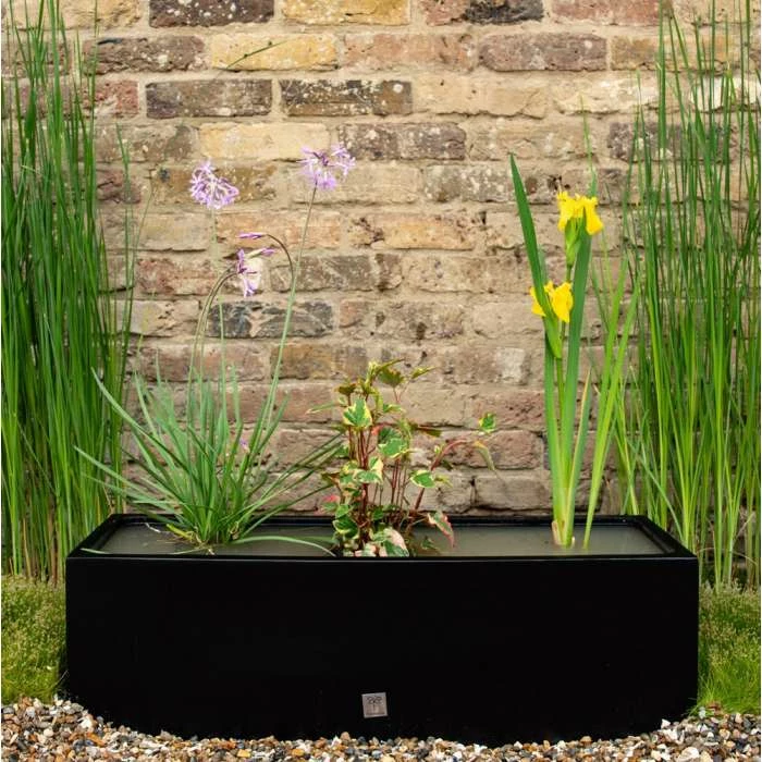 W80cm Ornamental 'Pond in a Pot' Trough Black Fibreglass Planter - Image 2